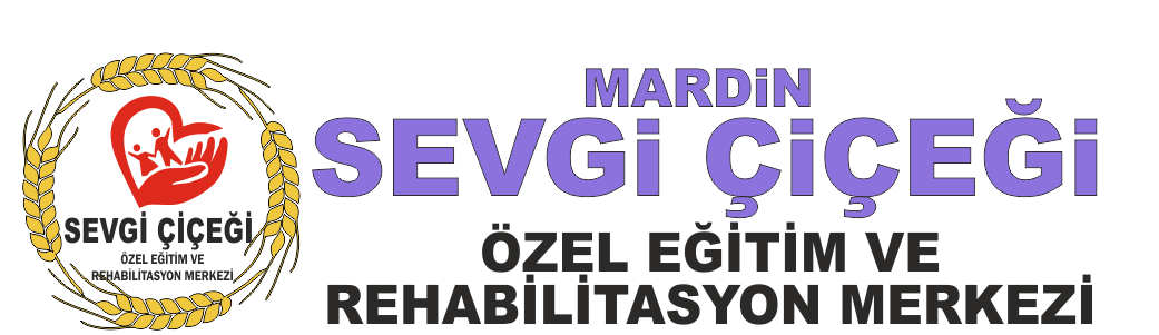 Özel Eğitim Ve Rehabilitasyon Merkezi